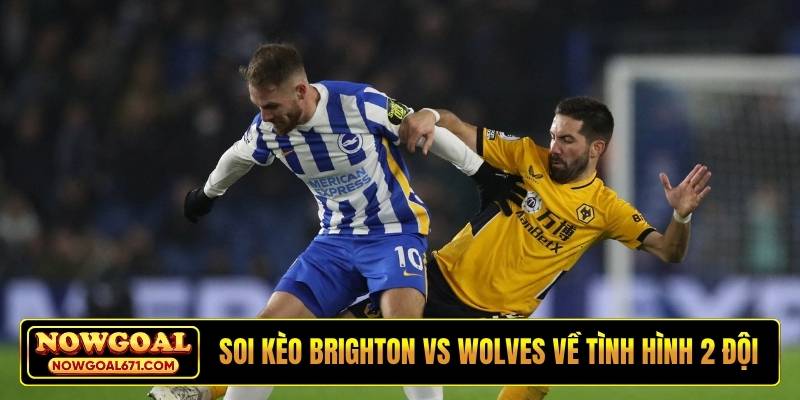 Soi kèo Brighton vs Wolves về tình hình 2 đội